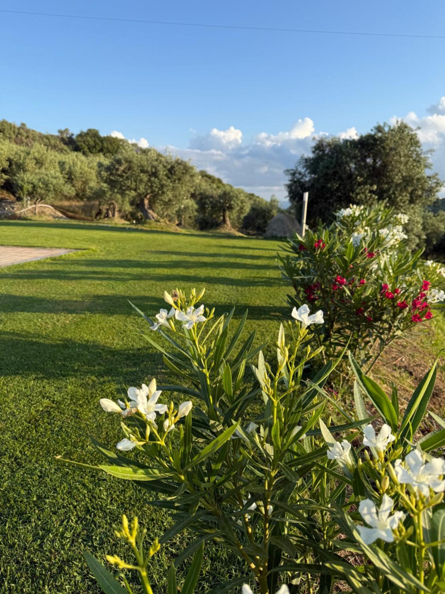 Agrolea Hotel Terme Vigliatore Kültér fotó