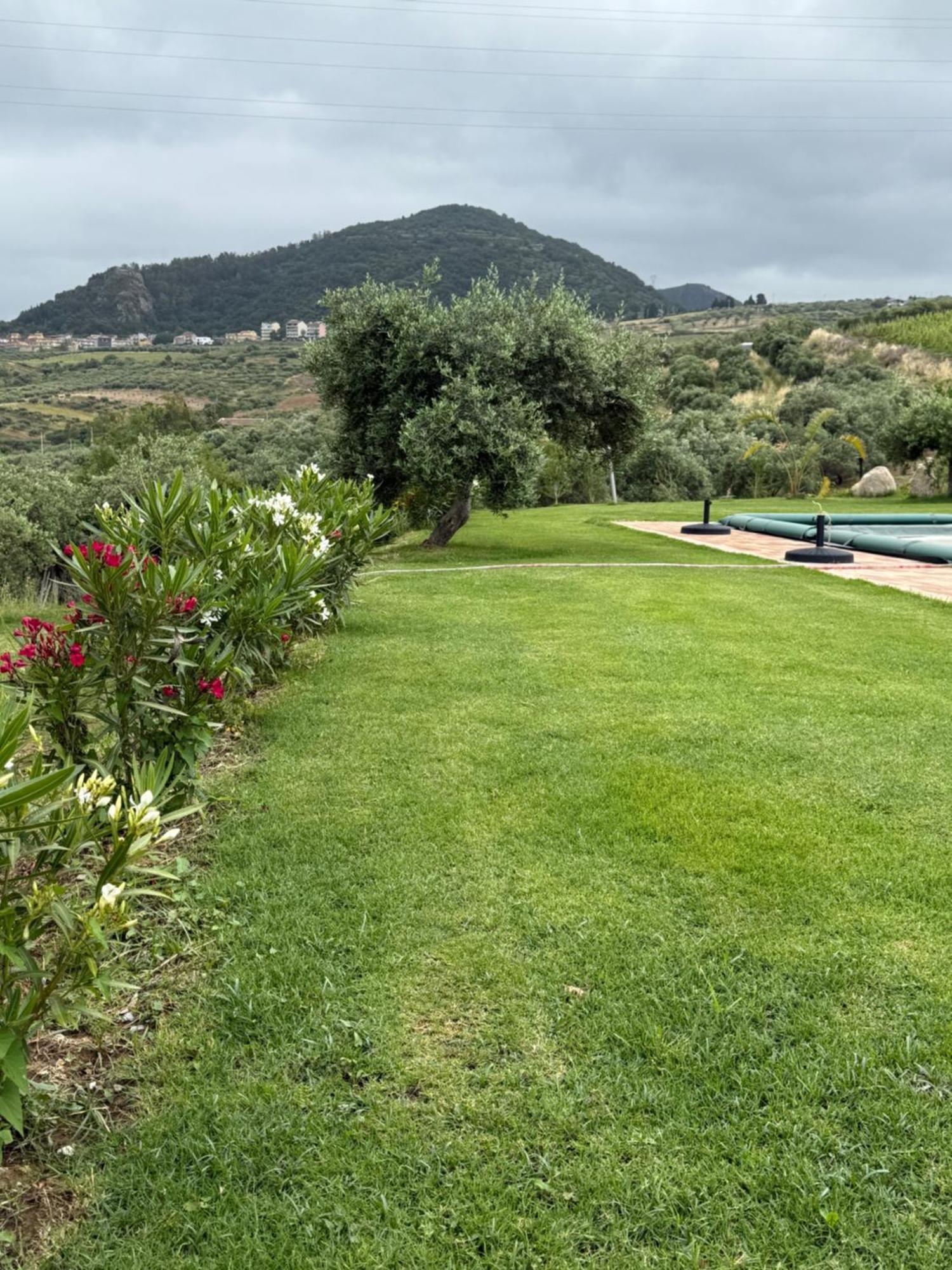 Agrolea Hotel Terme Vigliatore Kültér fotó