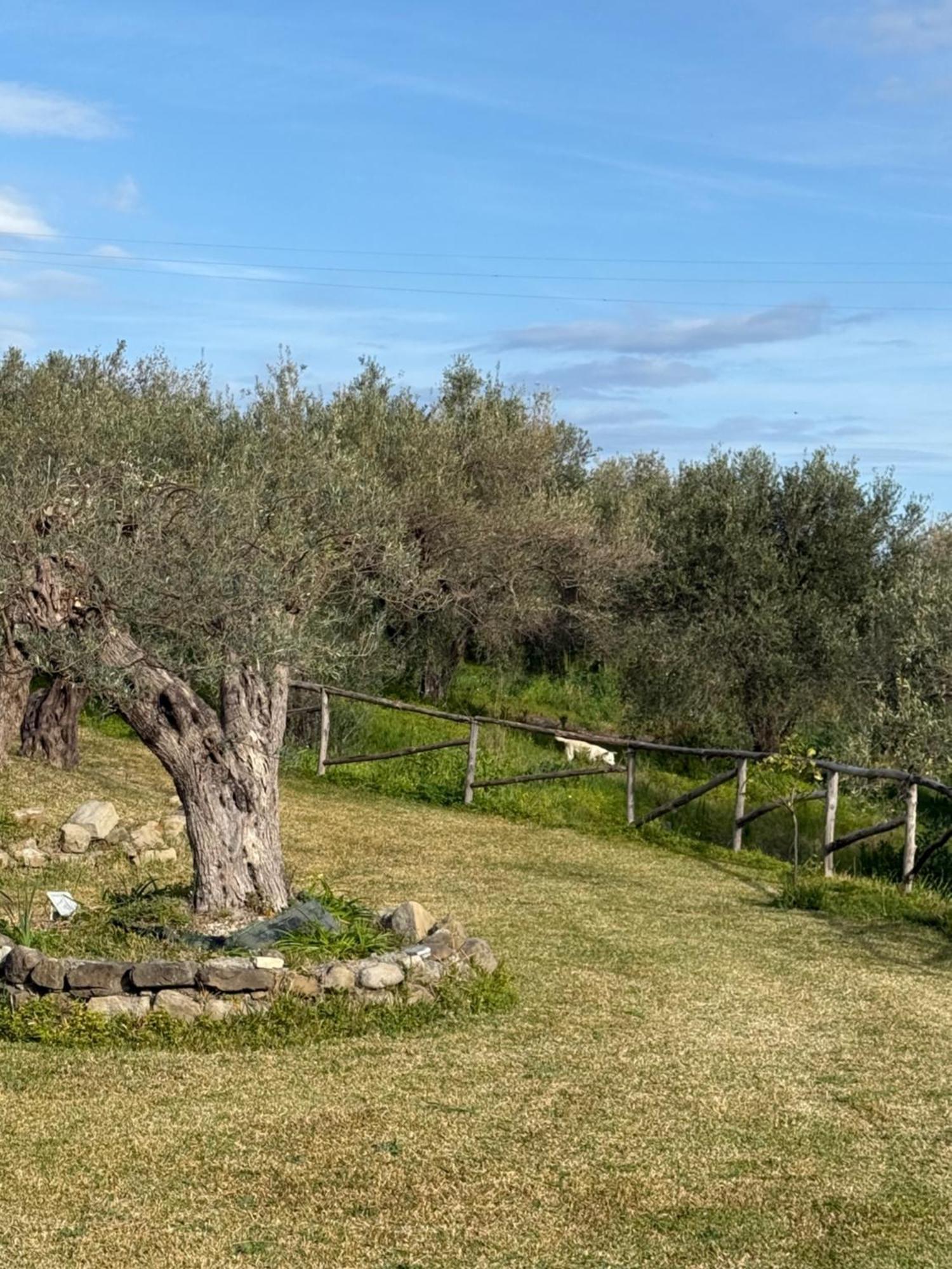 Agrolea Hotel Terme Vigliatore Kültér fotó