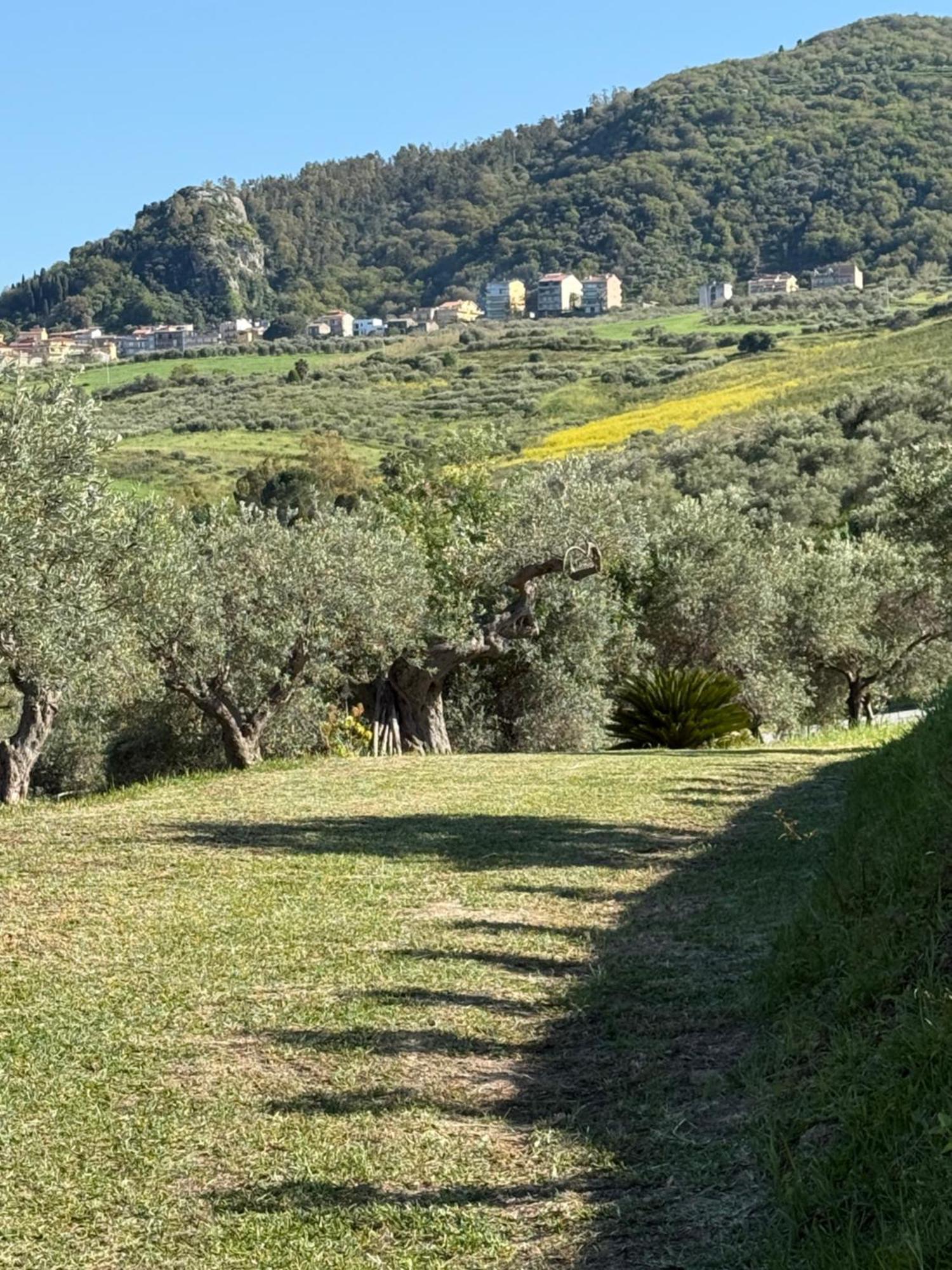Agrolea Hotel Terme Vigliatore Kültér fotó