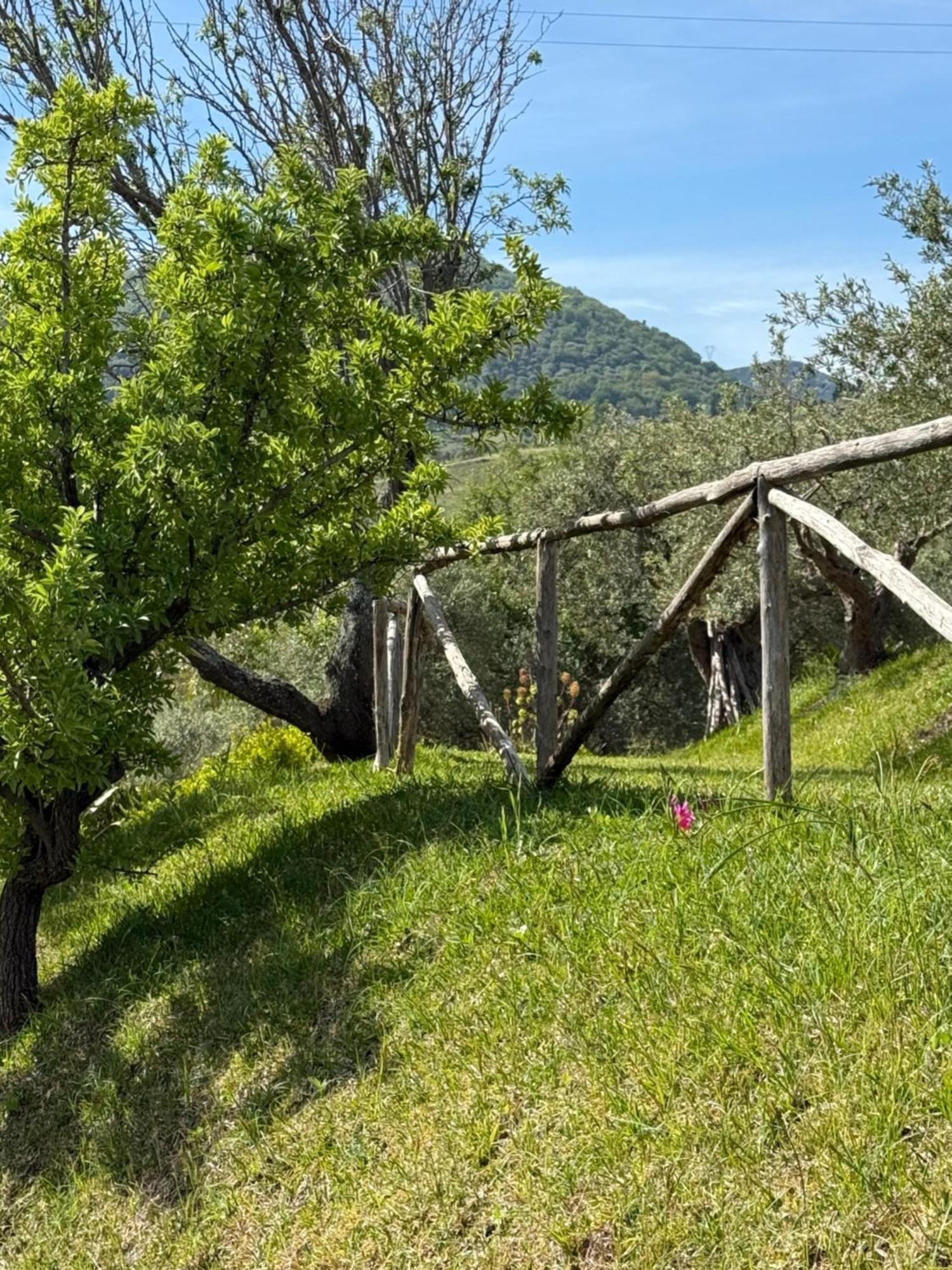 Agrolea Hotel Terme Vigliatore Kültér fotó